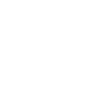 FDE 机器人图标